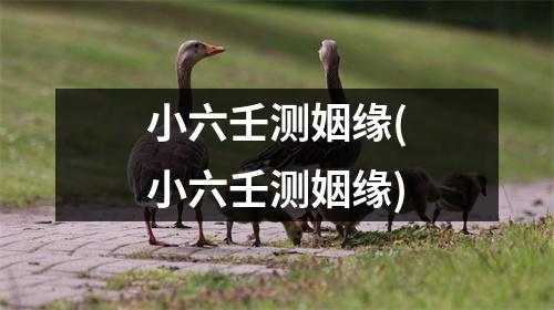 小六壬测姻缘(小六壬测姻缘)