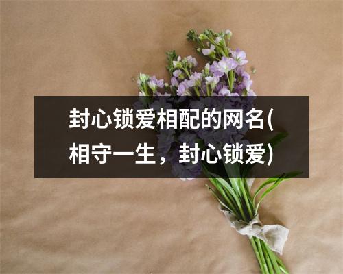 封心锁爱相配的网名(相守一生，封心锁爱)