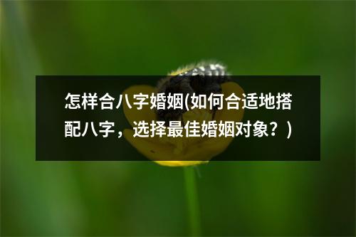 怎样合八字婚姻(如何合适地搭配八字，选择佳婚姻对象？)