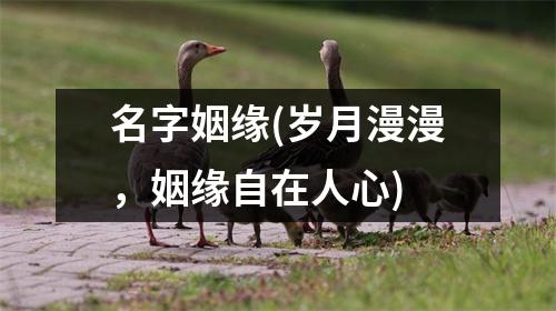 名字姻缘(岁月漫漫，姻缘自在人心)