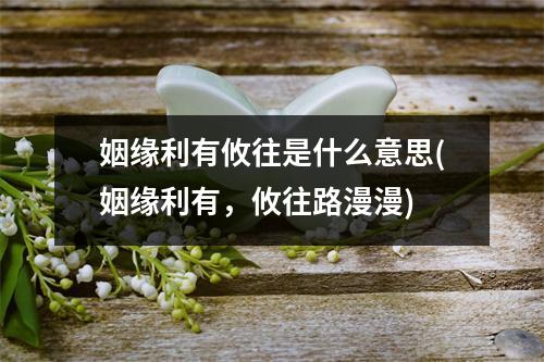 姻缘利有攸往是什么意思(姻缘利有，攸往路漫漫)