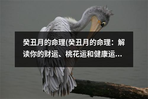 癸丑月的命理(癸丑月的命理：解读你的财运、桃花运和健康运势)