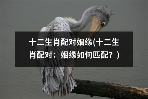 十二生肖配对姻缘(十二生肖配对：姻缘如何匹配？)