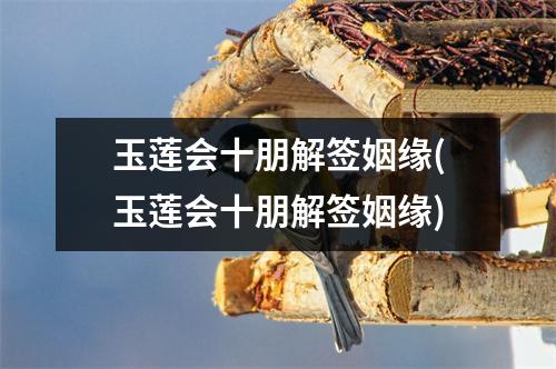 玉莲会十朋解签姻缘(玉莲会十朋解签姻缘)