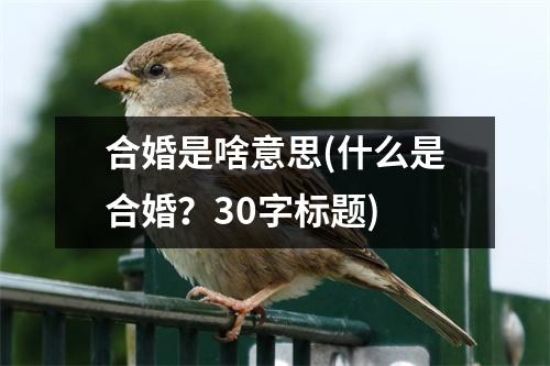 合婚是啥意思(什么是合婚？30字标题)