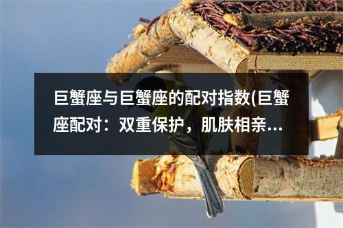 巨蟹座与巨蟹座的配对指数(巨蟹座配对：双重保护，肌肤相亲)