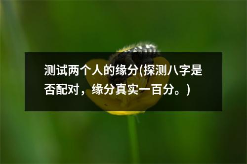 测试两个人的缘分(探测八字是否配对，缘分真实一百分。)