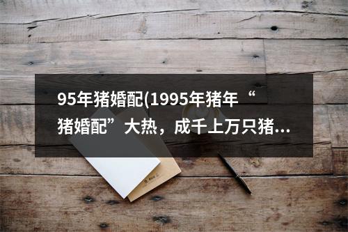 95年猪婚配(1995年猪年“猪婚配”大热，成千上万只猪搭上了“姻缘船”。)