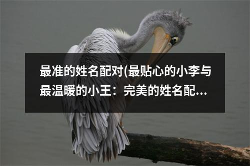 准的姓名配对(贴心的小李与温暖的小王：完美的姓名配对！)