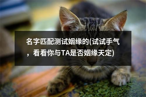 名字匹配测试姻缘的(试试手气，看看你与TA是否姻缘天定)