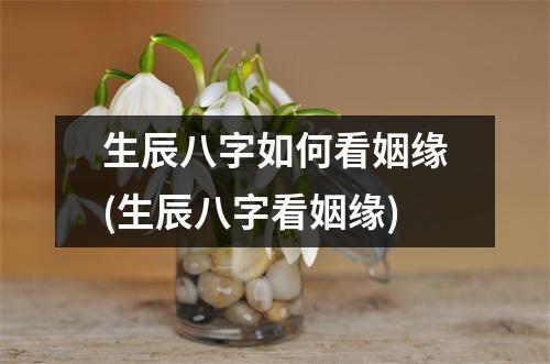 生辰八字如何看姻缘(生辰八字看姻缘)