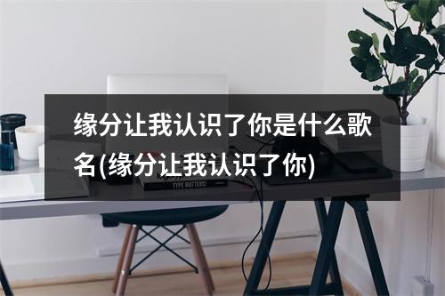 缘分让我认识了你是什么歌名(缘分让我认识了你)