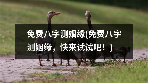 免费八字测姻缘(免费八字测姻缘，快来试试吧！)