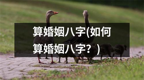 算婚姻八字(如何算婚姻八字？)