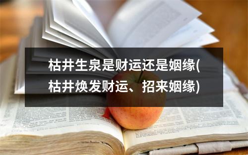 枯井生泉是财运还是姻缘(枯井焕发财运、招来姻缘)