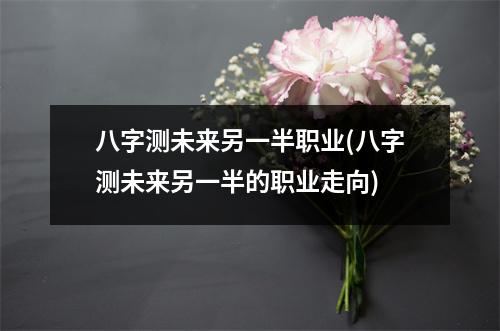 八字测未来另一半职业(八字测未来另一半的职业走向)