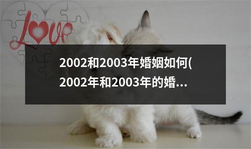 2002和2003年婚姻如何(2002年和2003年的婚姻状况分析：离婚率持续攀升？)