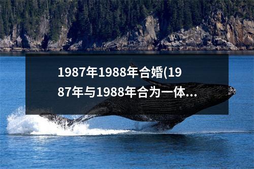 1987年1988年合婚(1987年与1988年合为一体：一对夫妻的爱情见证)