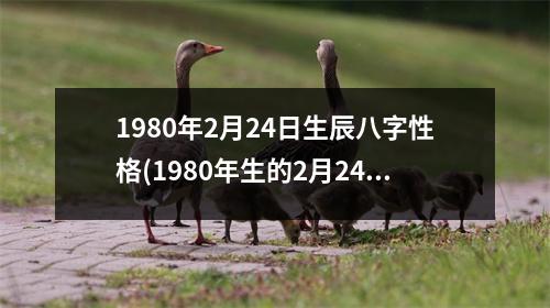 1980年2月24日生辰八字性格(1980年生的2月24日出生的人的八字性格分析)