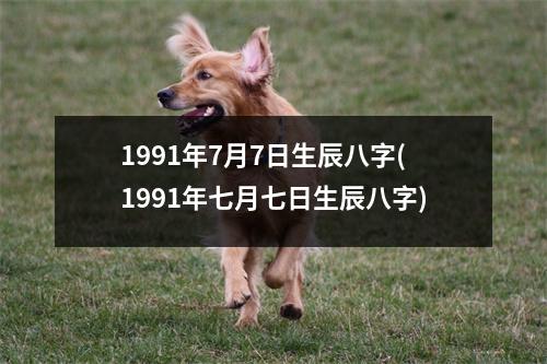 1991年7月7日生辰八字(1991年七月七日生辰八字)