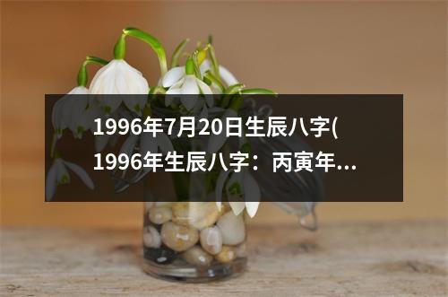 1996年7月20日生辰八字(1996年生辰八字：丙寅年丙戌月乙未日午时)