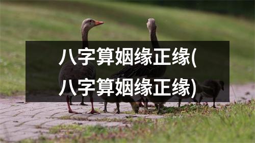 八字算姻缘正缘(八字算姻缘正缘)