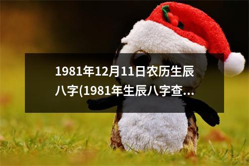 1981年12月11日农历生辰八字(1981年生辰八字查询及解析)