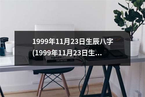 1999年11月23日生辰八字(1999年11月23日生辰八字)