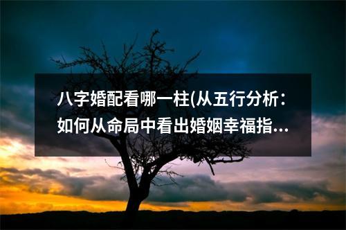 八字婚配看哪一柱(从五行分析：如何从命局中看出婚姻幸福指数？)