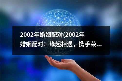 2002年婚姻配对(2002年婚姻配对：缘起相遇，携手荣耀未来)