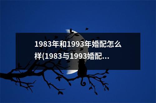 1983年和1993年婚配怎么样(1983与1993婚配：时光倒流爱重温)