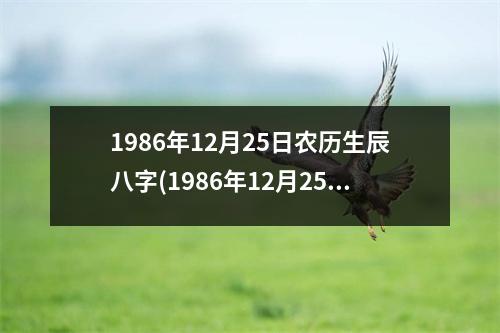 1986年12月25日农历生辰八字(1986年12月25日农历生辰八字解析)