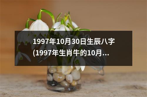 1997年10月30日生辰八字(1997年生肖牛的10月30日八字命盘分析)