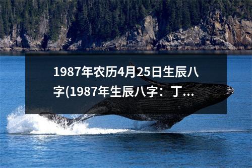 1987年农历4月25日生辰八字(1987年生辰八字：丁卯年壬辰月丙子日甲子时)