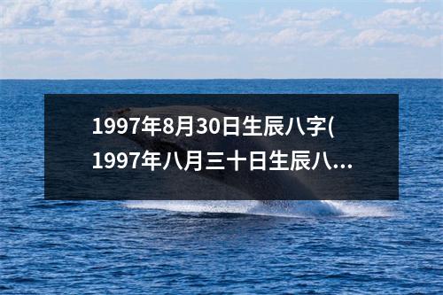 1997年8月30日生辰八字(1997年八月三十日生辰八字)