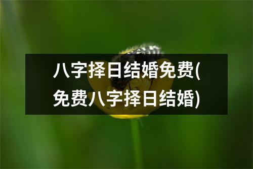 八字择日结婚免费(免费八字择日结婚)