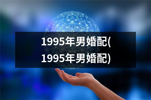 1995年男婚配(1995年男婚配)