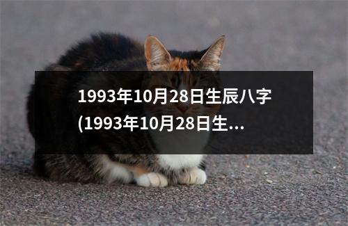 1993年10月28日生辰八字(1993年10月28日生辰八字)