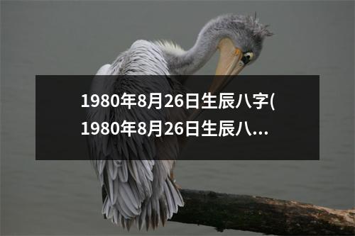 1980年8月26日生辰八字(1980年8月26日生辰八字查询)