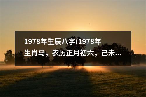 1978年生辰八字(1978年生肖马，农历正月初六，己未年壬寅月癸巳日。)