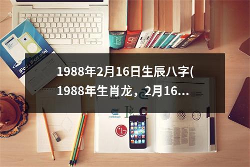 1988年2月16日生辰八字(1988年生肖龙，2月16日生辰八字详解)