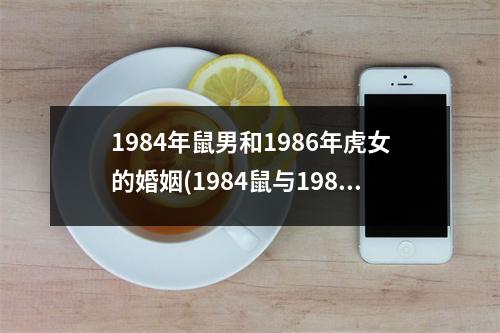 1984年鼠男和1986年虎女的婚姻(1984鼠与1986虎的婚姻：缘来是你，爱恋绵长。)