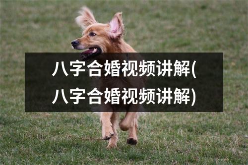 八字合婚讲解(八字合婚讲解)