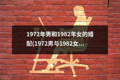 1972年男和1982年女的婚配(1972男与1982女，爱情的时光旅程)