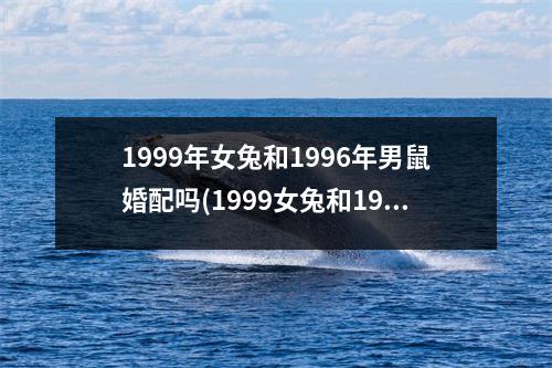 1999年女兔和1996年男鼠婚配吗(1999女兔和1996男鼠婚配是否适合？)