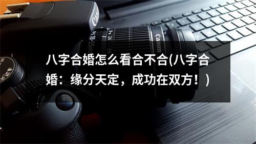 八字合婚怎么看合不合(八字合婚：缘分天定，成功在双方！)