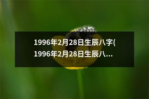 1996年2月28日生辰八字(1996年2月28日生辰八字)