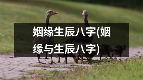 姻缘生辰八字(姻缘与生辰八字)