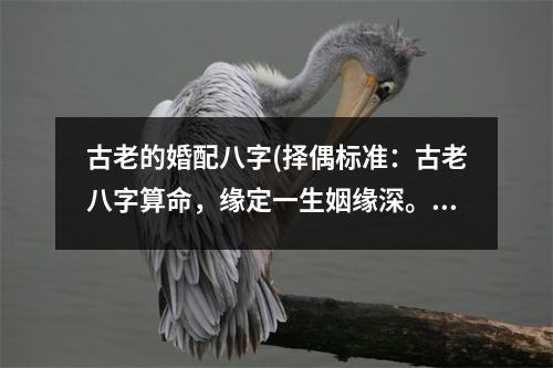 古老的婚配八字(择偶标准：古老八字算命，缘定一生姻缘深。)