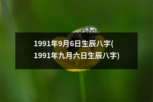 1991年9月6日生辰八字(1991年九月六日生辰八字)